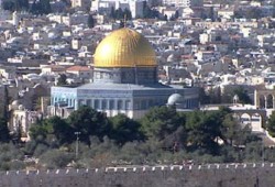 واجب المسلمين نحو الأقصى وفلسطين وفتوى الأزهر في 1956 م