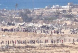 1373 شهيدا ارتقوا أثناء انتظارهم المساعدات بغزة