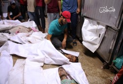 49 شهيدًا و230 جريحًا في غزة خلال 24 ساعة