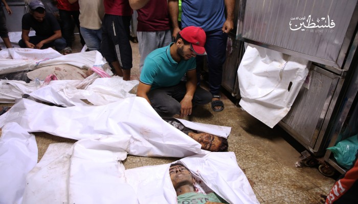 49 شهيدًا و230 جريحًا في غزة خلال 24 ساعة