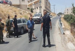 إرهابي صهيوني يدعس طفلة فلسطينية جنوب الخليل