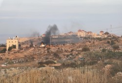 مستوطنون صهاينة يحرقون أراضي زراعية فلسطينية قرب نابلس