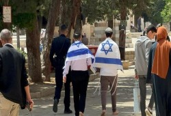 صهاينة يدنسون الأقصى ويؤدون طقوسًا تلمودية