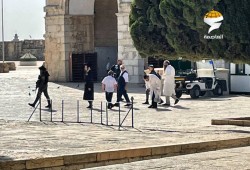 صهاينة يدنسون الأقصى بالتصفيق والغناء بحماية قوات الاحتلال