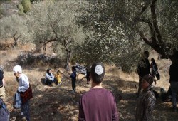 اعتداءات واسعة للمستوطنين الصهاينة في الضفة