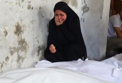 65 شهيدًا و153 إصابة بغزة خلال 24 ساعة