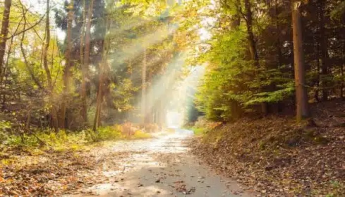 ظاهرة ضعف الإيمان .. المظاهر و الأسباب و العلاج