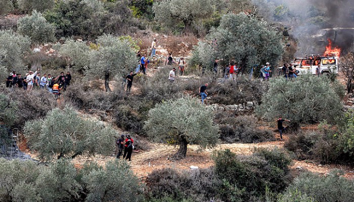 قوات الاحتلال تعتدي على شابين بالقدس وصهاينة يقتلعون أشجار الزيتون