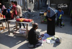 24% من المساعدات فقط دخلت غزة