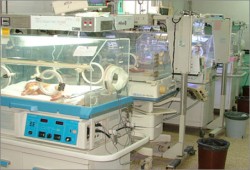 الإبادة الصهيونية تلاحق الأجنة في بطون أمهاتهم بغزة