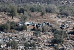 هجمات منظمة للمستوطنين بالضفة لتهجير الفلسطينيين