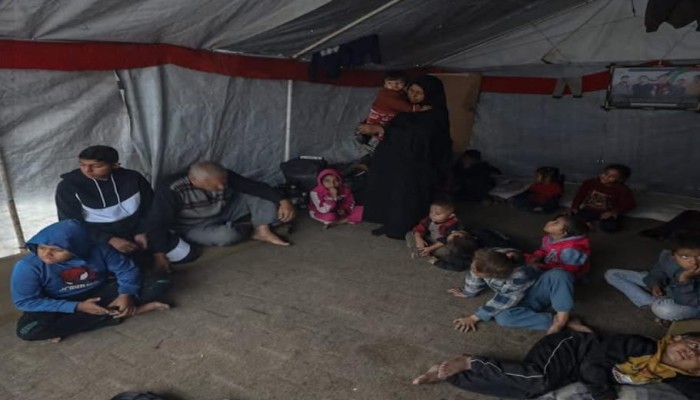 الحاجة رضا أم الشهداء الخمسة تعول 36 حفيدا