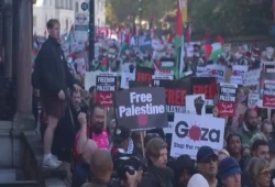 مظاهرة حاشدة بلندن في اليوم العالمي للتضامن مع الشعب الفلسطيني