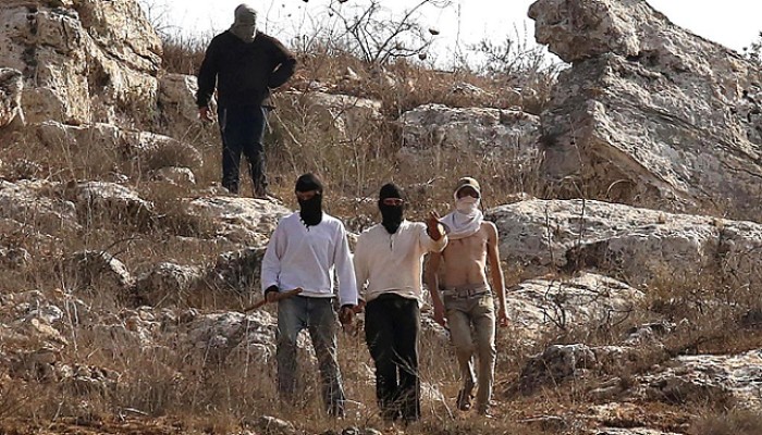 مستوطنون يهاجمون ممتلكات فلسطينية بالقدس المحتلة