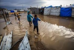 الأونروا: ضرورة تدفق المساعدات لغزة لمواجهة الشتاء