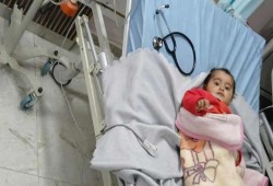 تصاعد هجمات المستوطنين بالضفة المحتلة وإصابة طفلة