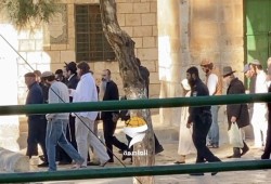 عشرات الصهاينة يقتحمون باحات الأقصى ويؤدون طقوساً تلمودية