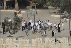 480 صهيونيا يدنسون الأقصى بحماية قوات الاحتلال
