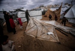 تحذير من ظهور وباء في غزة تنقله الفئران بين النازحين