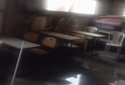 تصاعد اعتداءات الصهاينة على الفلسطينيين في الضفة المحتلة