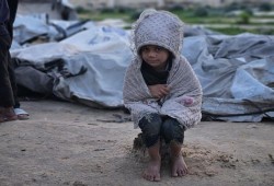 حماس: الكارثة الإنسانية بغزة تعكس فشل المجتمع الدولي