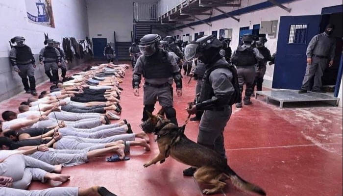 الجرب يتفشى بين الأسرى الفلسطينيين بسجن جلبوع الصهيوني