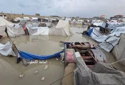 الأمم المتحدة: شتاء غزة أصبح قاتلاً وسط بنية مدمرة