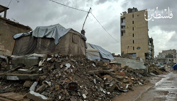 رسالة من عشرات الفنانين تدعو لإعادة الخدمات الطبية إلى غزة