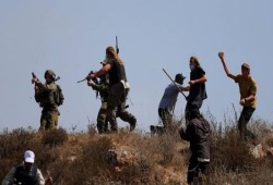 إرهابيون صهاينة يهاجمون الفلسطينيين في الأغوار الشمالية