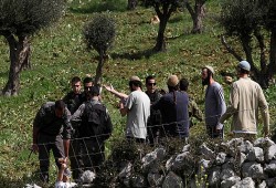 إصابات ومواجهات خلال حملة اعتقالات صهيونية بالضفة