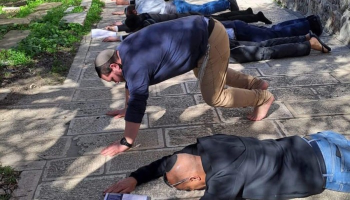 مئات الصهاينة يدنسون باحات المسجد الأقصى