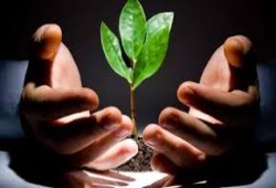 كيف نرافق أبناءنا في رحلة الإيمان؟