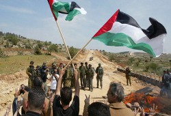 مستوطنون يهاجمون ممتلكات فلسطينية بالضفة المحتلة