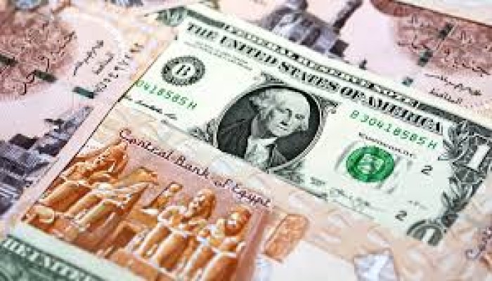 هروب الأموال الساخنة من مصر.. مؤشر لأزمة كبرى