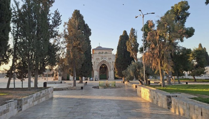 حملة رقمية عالمية لكسر الحصار الإعلامي عن المسجد الأقصى