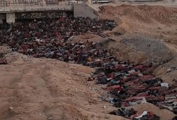 مرتزق بريطاني يوثق وحشية الاحتلال ضد المجوّعين في غزة