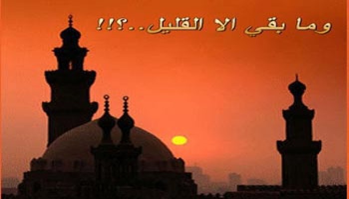 في وداع رمضان نذكر: "الفتح الأعظم، وليلة القدر، وعيد الإسلام"
