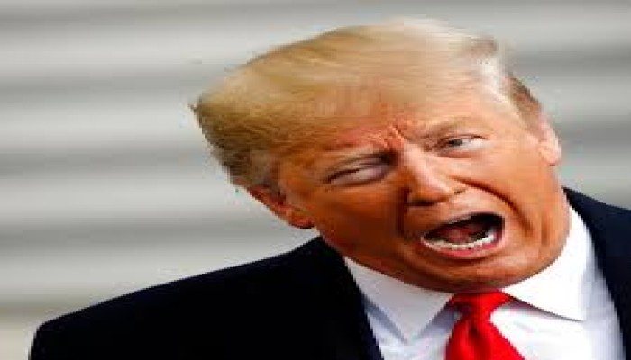 ترامب يشتم دول الناتو: أيها الجبناء