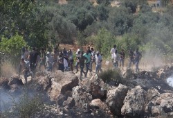 مواجهات مع مستوطنين شمال القدس المحتلة