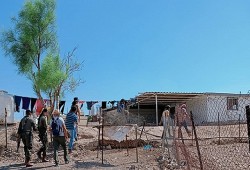 اعتداءات إرهابية لمستوطنين في الأغوار ونابلس