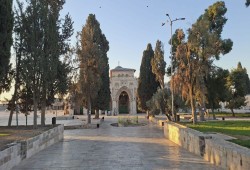 حماس: تمديد الاحتلال لإغلاق الأقصى خطة لتفريغ المسجد