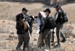 وزير صهيوني متحديا: نطبق الضم فعليا بالضفة