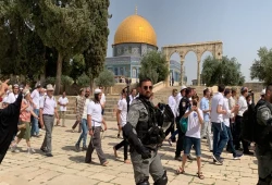 110 مستوطنين يدنسون الأقصى بحماية الاحتلال