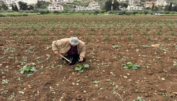 تصاعد إرهاب المستوطنين.. طرد الفلسطينيين من أراضيهم