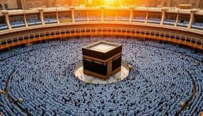 هل يجزئ التبرع بتكلفة الحج عن أداء الفريضة؟.