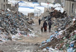 أونروا: القوارض تنهش أطفال غزة داخل الخيام