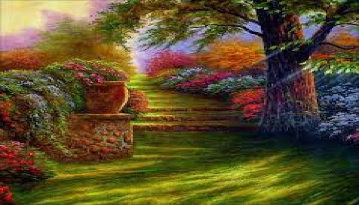 صفاء النفس