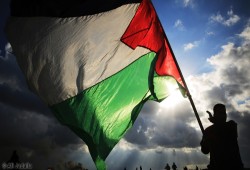 حماس تسلم رد الفصائل الفلسطينية على خطة ميلادنوف