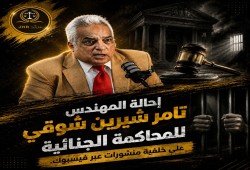 قضاء الانقلاب يحاكم المهندس تامر شيرين بسبب منشورات فيسبوك