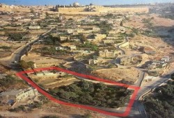 تحذيرات من تهجير الاحتلال لأهالي حي البستان  بالقدس